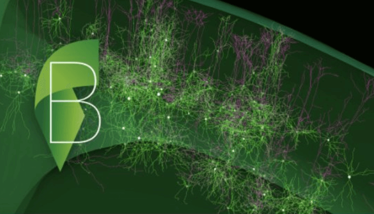 HBP MOOC: The multi-scale brain